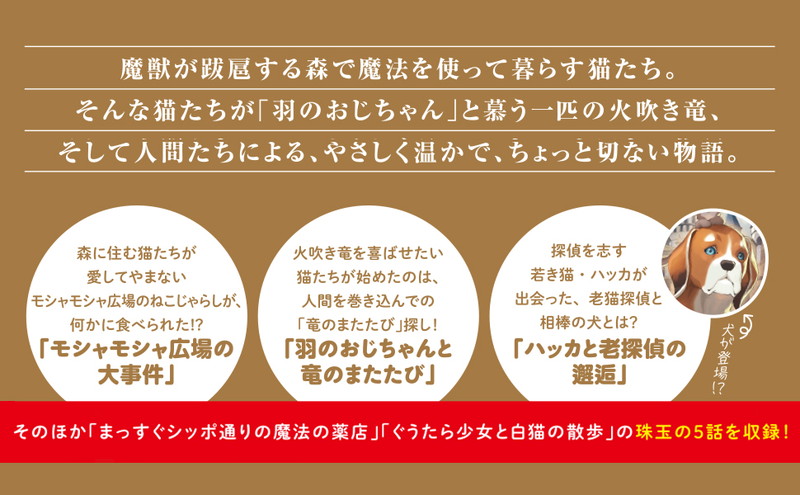 福岡市東箱崎公民館ブログ: おじちゃんと一緒の冒険クラブ キャンプ説明会 08月31日