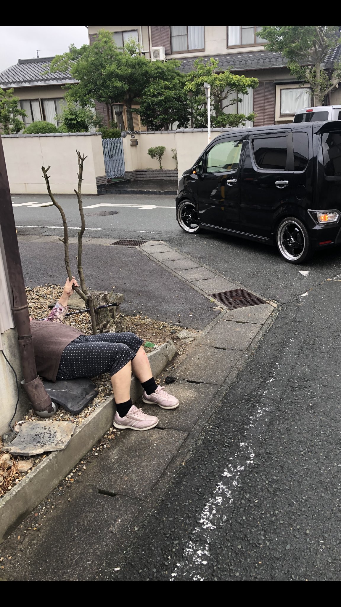 シニアカーに乗って外出したおばあちゃん 次の瞬間、周囲はギョッとした！ – grapeグレイプ