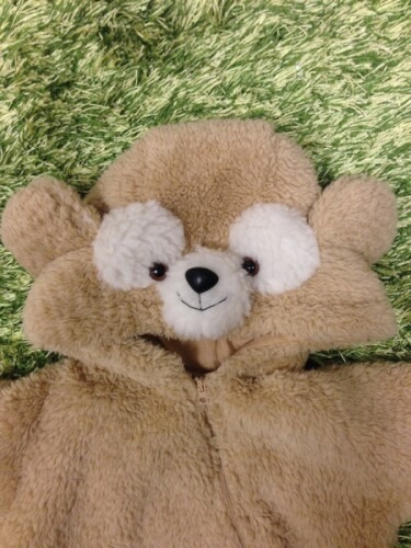 ダッフィー着ぐるみ お人形生地ご確認画像