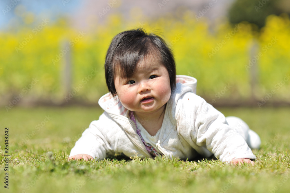 フリー写真花の前に座っている外国の赤ちゃんでアハ体験GAHAG著作権フリー写真・イラスト素材集 - GAHAG著作権フリー写真・イラスト素材集