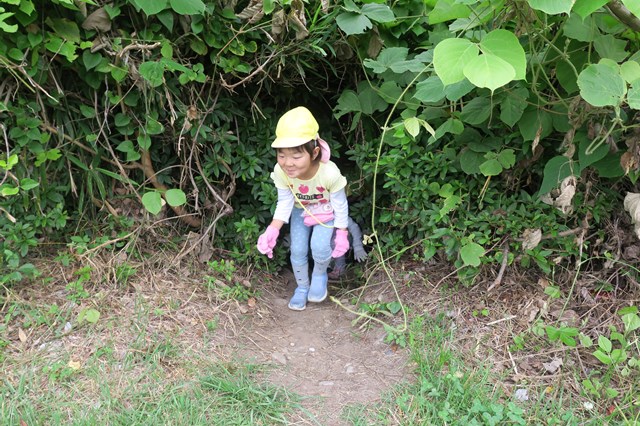 ふれあいヨガの報告です。 2023.12.14