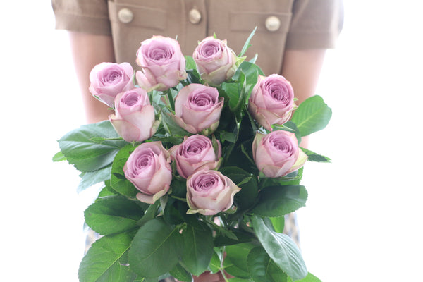 ガーベラの花言葉！ 白、青、紫は？田原 豊橋 お花が大好きな花生産者が教えるレジュフラワー プリザーブドフラワープティシュシュ