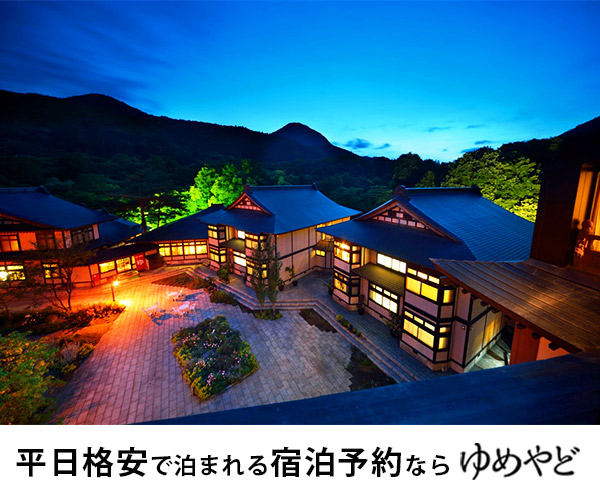 天宮家の王子さま メイドのわたしと恋がこじれる遊園地 - 集英社みらい文庫