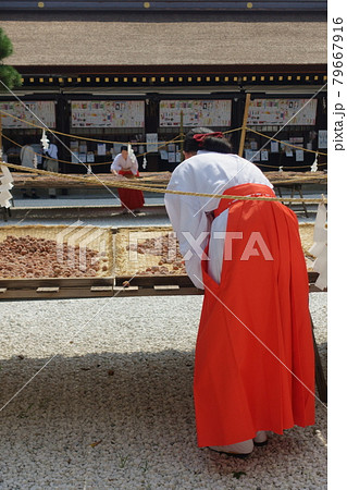 交換留学生ナディア 巫女さん体験京都洛東ロータリークラブ
