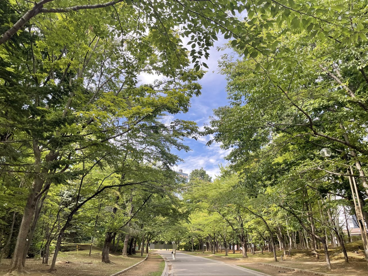 ファーストラブ 結婚式」の検索結果 - Yahoo!検索 画像