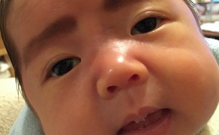 面白い赤ちゃん - 手の中の赤ちゃんの顔 高画質の壁紙Pxfuel