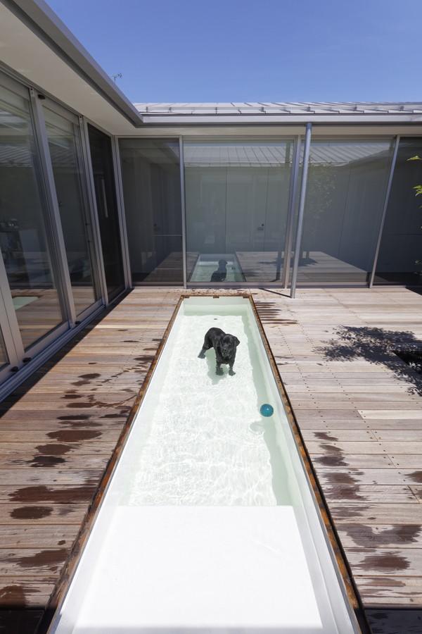 犬と暮らす家」の間取りやアイデア。5つの住宅実例から学ぶ！間取りプラン家づくりのアイデアReplan リプラン WebMagazine