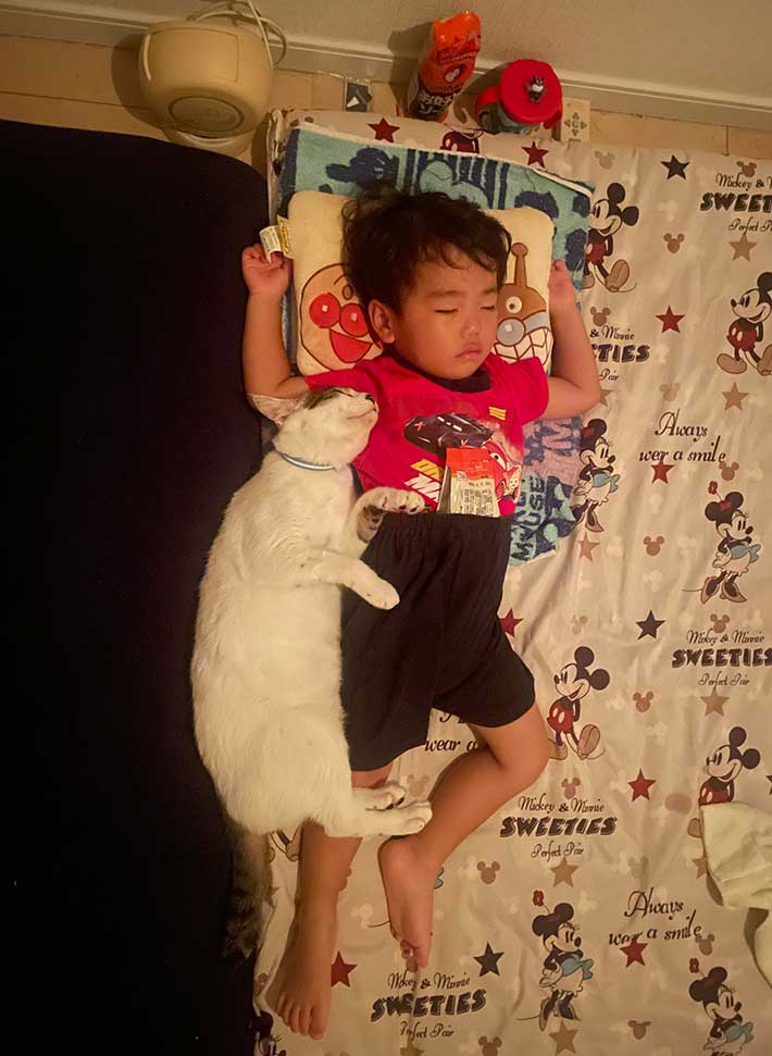 子どもの寝顔は万国共通に可愛い。 – バイリンガルモンテッソーリ園 カーサ・デ・バンビーニ