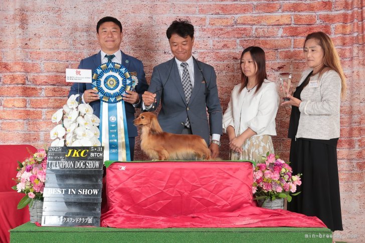 小林麻美ヒストリー 〜 誕生から結婚まで そして電撃復帰 ～ マイピュアレディKou