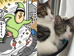 まめきちまめこ 「最近マンガの描き方に悩んでて 」大人気ブロガーが初めて明かす、愛猫2匹を“人間らしく”描く理由とは