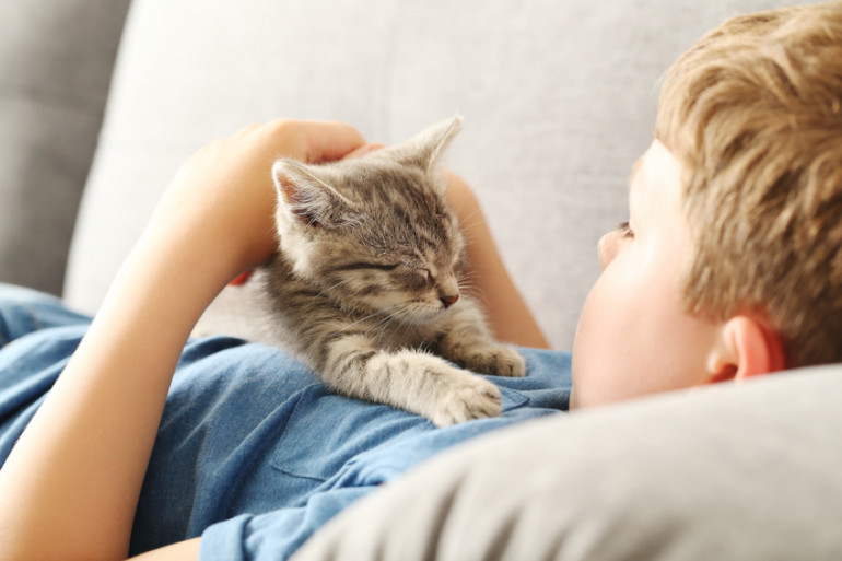 猫と赤ちゃん、ときどきオット 7 猫の優しさに甘えないネコアイランド猫専門のショッピングモール&情報サイト