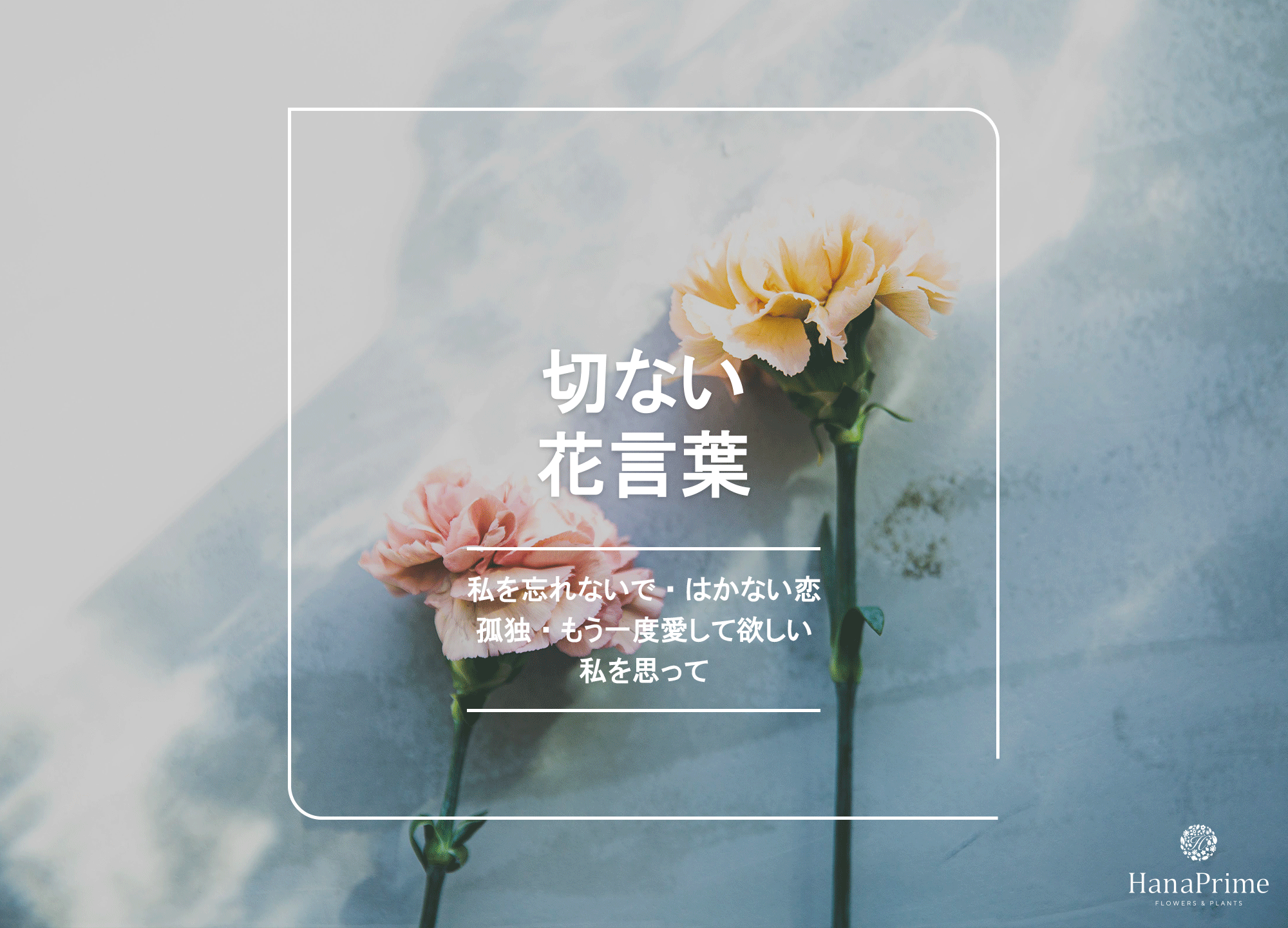 悲しい花言葉」一覧！ 失恋、後悔、絶望、孤独を表す「花言葉」を紹介Oggi.jp