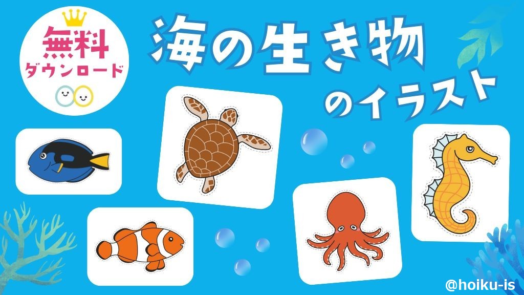 壁面型紙 海の生き物たちほいくえ