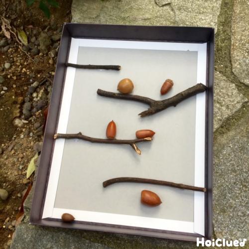 どんぐり 100均DIY作り方 ハンドメイド How to make of the acorn