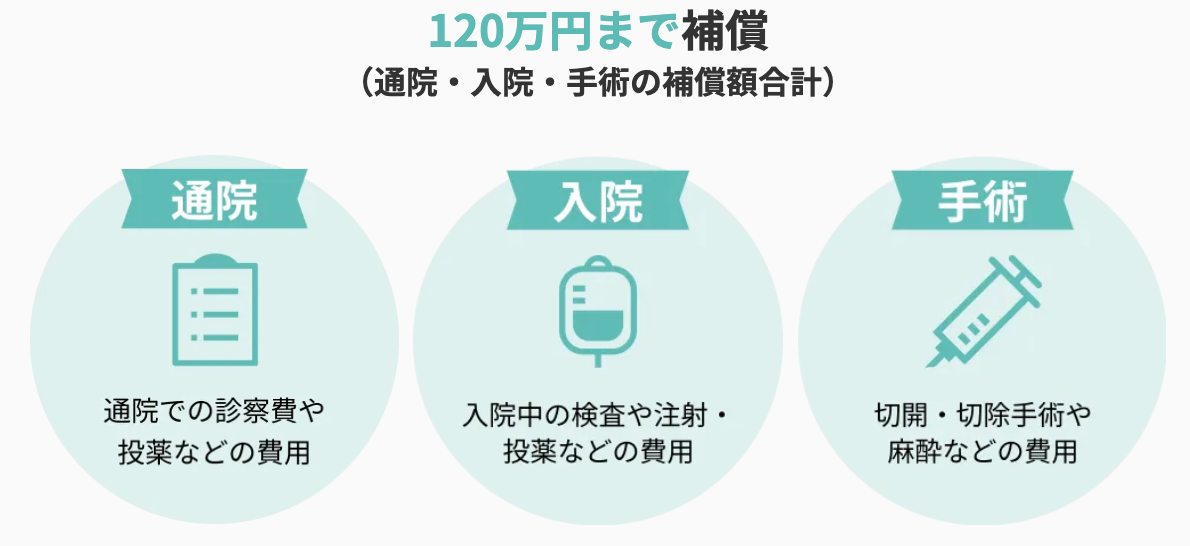 リトルファミリー少短保険の比較 保険比較・見直し・無料相談