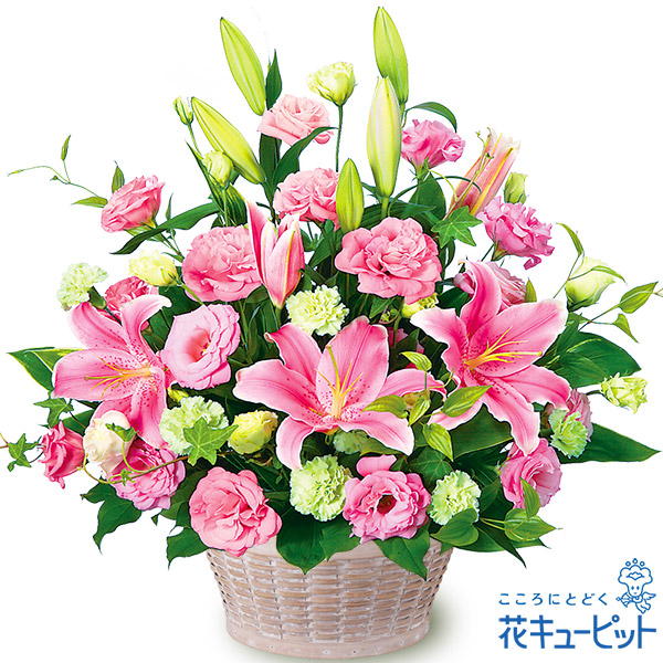 6月10日の誕生花は？トケイソウの花言葉・由来を紹介お花のギフト通販 ブルーミーストア