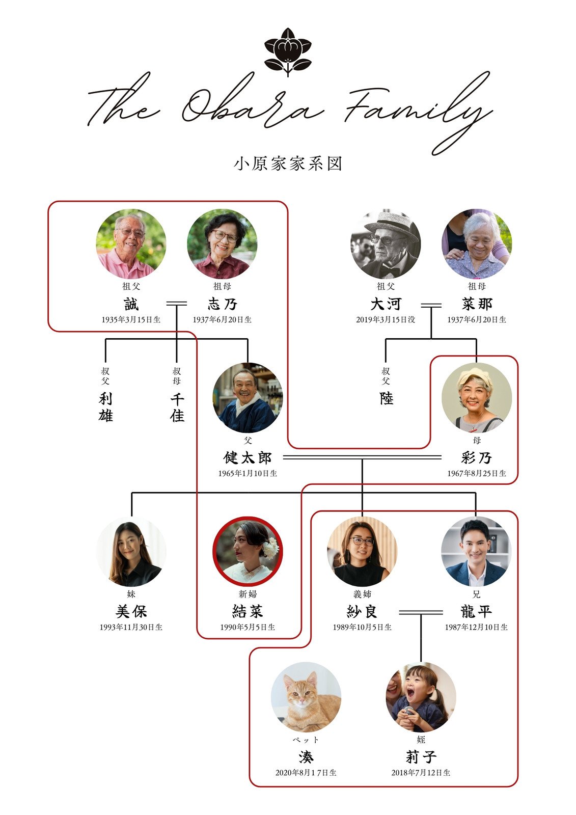 ビジュアル重視のデザイン家系図 プリクラde家系図