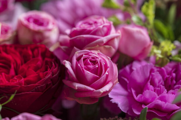 片思い」に関する花言葉恋愛のときめきや切なさを表すお花一覧観葉植物・お花の通販 AND PLANTSアンドプランツ