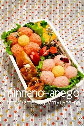 お弁当の主役に！子供が喜ぶとりさんおにぎりのつくりかたキレイキレイライオン