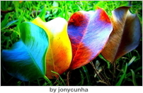 結婚する娘に贈る言葉。父と母からのメッセージ集ゼクシィ