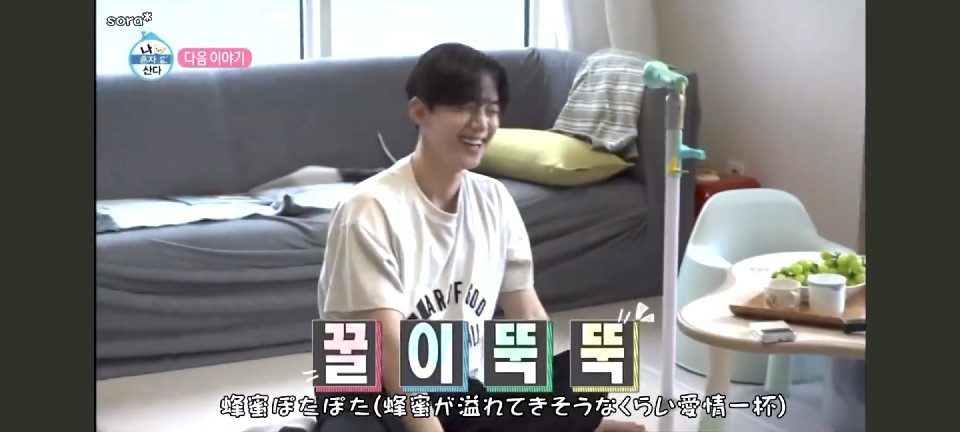 🧸, 甥っ子は顔に傷を負っても太ももで吹っ飛ばされてもなお、叔母の存在を大切に思っているらしい。,別れた後、自宅に漂う何かしらのわたしの残り香を辿るも見つけられない様子。もうたまらなく哀愁でしょう？,おば日記甥っ子ジェラピケベビー1歳2ヶ月