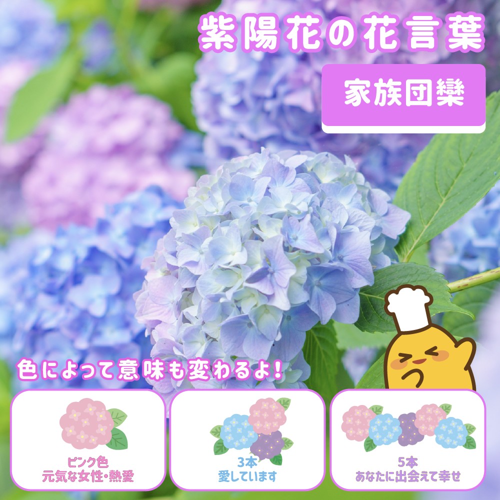 サルビアの花言葉は「尊敬」「知恵」「よい家族」「家族愛」「永遠にあなたのもの」！花言葉から見頃の季節まで丁寧にご紹介