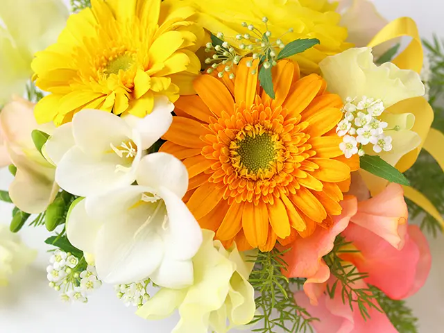 結婚記念日の写真はセルフ写真館でおしゃれに!何をするか迷っている方へ♪ – i.s. ウェディング情報サイト