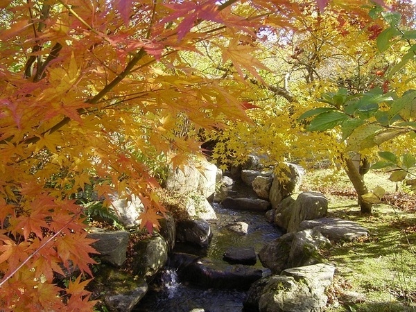 2024 福岡のカップルにおすすめのデートスポット20選！博多や天神など じゃらんニュース