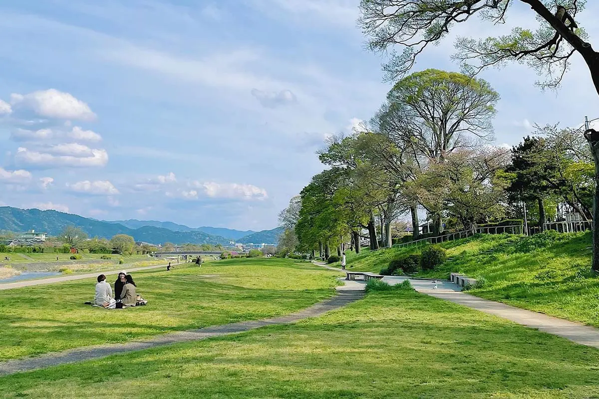 公園でピクニックをする夢星の窓メディア