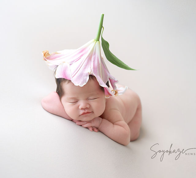 pauseSoyokazeニューボーンフォト沖縄