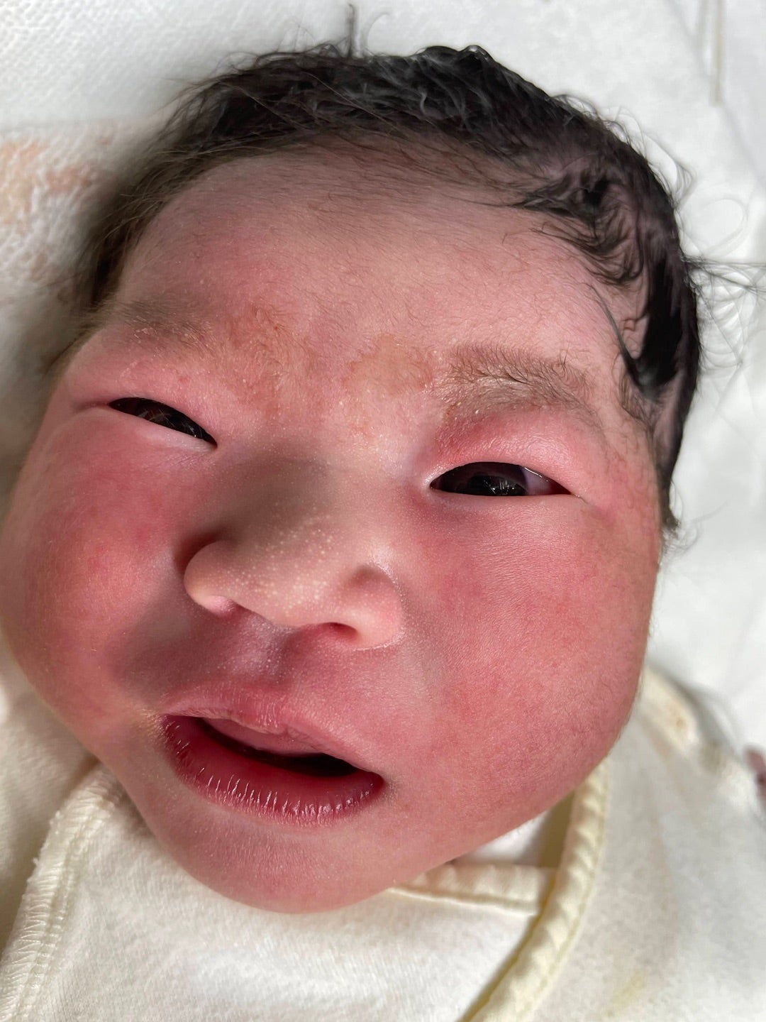 エジプトハーフの顔と髪の変化まとめダハブログ