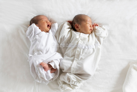 双子の赤ちゃんの写真素材FYI03144012ストックフォトの Qlean Market キュリンマーケット