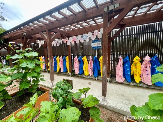 ほほえみ保育園🌈雨天時の室内遊び🌈
