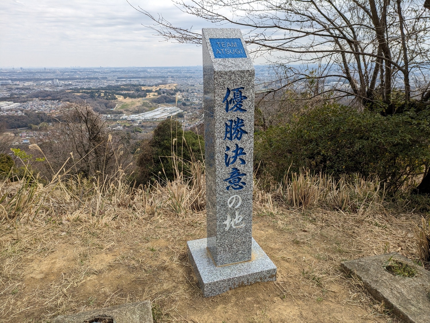 ロックレディ』関根明良×島袋美由利が語る「淑女」たちの持つ高い熱量 インタビューアニメイトタイムズ