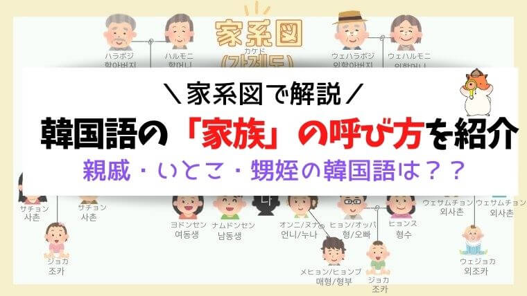 韓国語家系図:家族関係図・親戚呼称・呼び名など説明