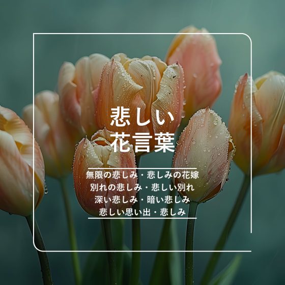 片思い中にぴったりな花言葉を持つ植物２０個を紹介！ – 東京寿園