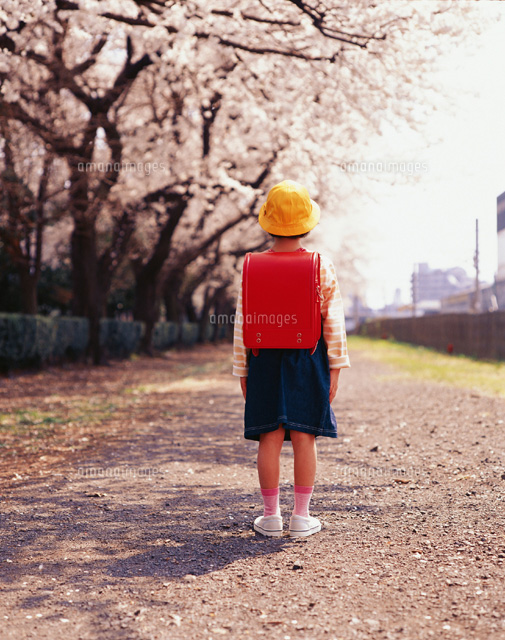 ランドセルを背負った新一年生の女の子 後ろ姿 のイラスト素材227676841 毎月1点無料 フリー のストックフォト イメージマート