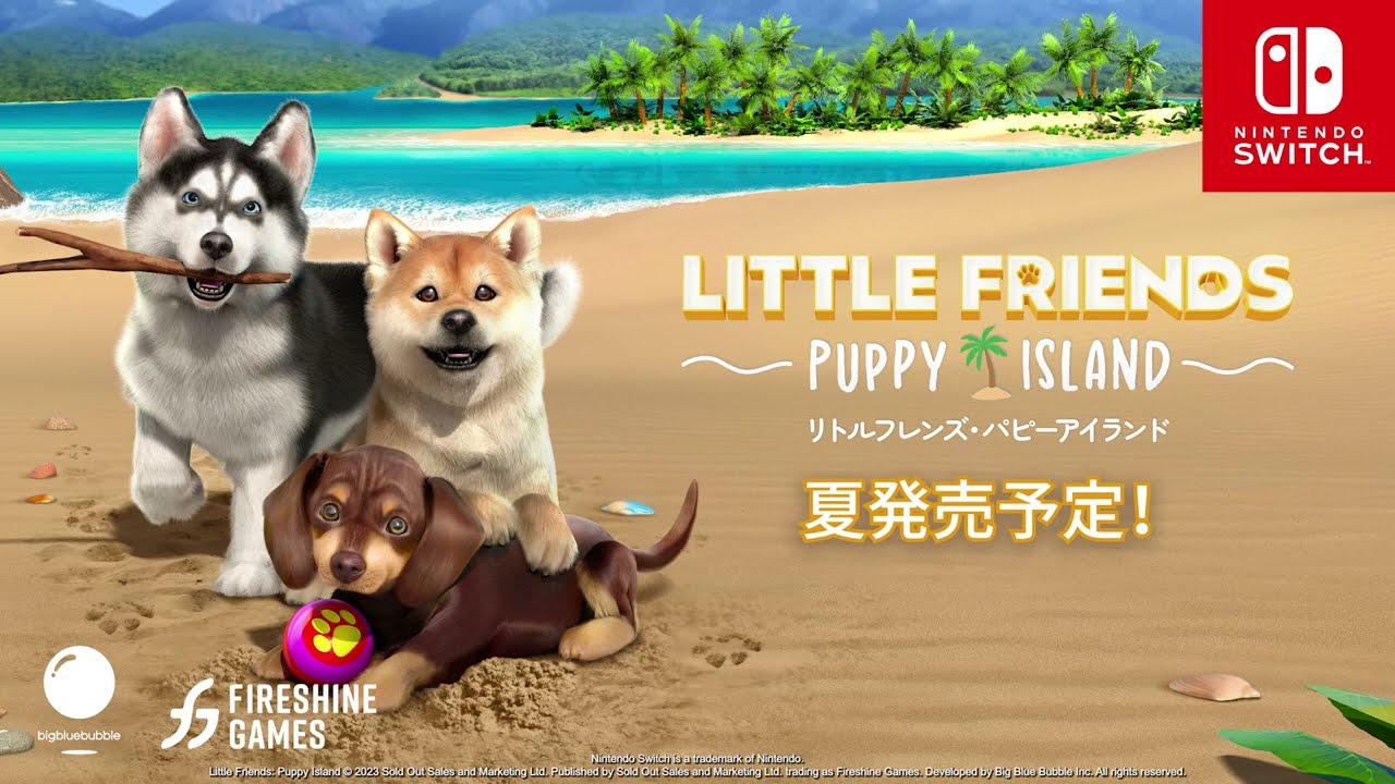 柴犬のお友達大分析! 犬たちはどうやって友情を育てているのか