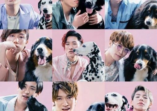 steady. ステディ 2024年 2月号 表紙：渡辺翔太 Snow Man: steady編集部HMV&BOOKS online -155770224