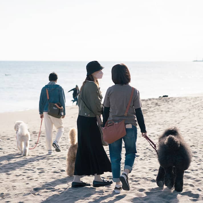 犬の友達作り -まずは犬社会のルール、言葉を知ろう