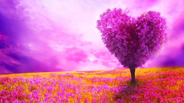 復縁に効果絶大の待ち受け画像・壁紙 無料ダウンロード- zired