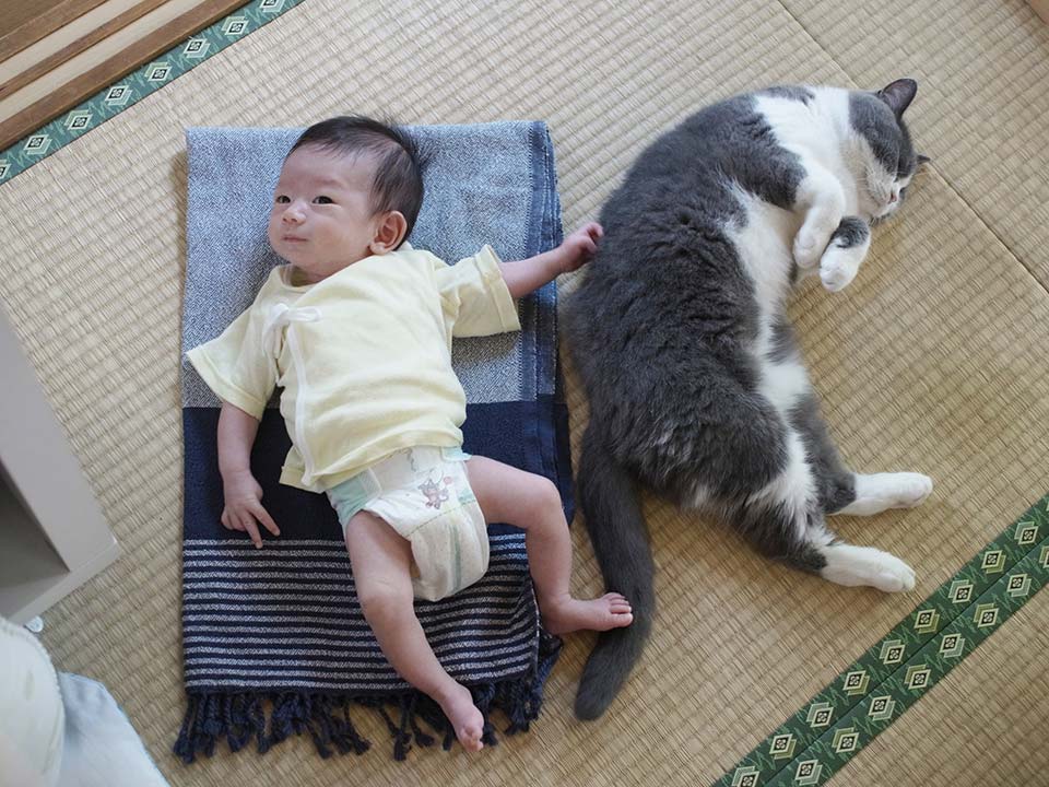 猫に腕枕する0歳児、2年後の姿に大反響「これは尊い 」「まるでジブリの世界」オリコンニュース ORICON NEWS
