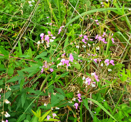 画像・写真 大政絢＆佐々木希、“いちゃラブ”密着2SHOTにファン悶絶「夫婦みたい」「天使が2人いる 」 10 15WEBザテレビジョン