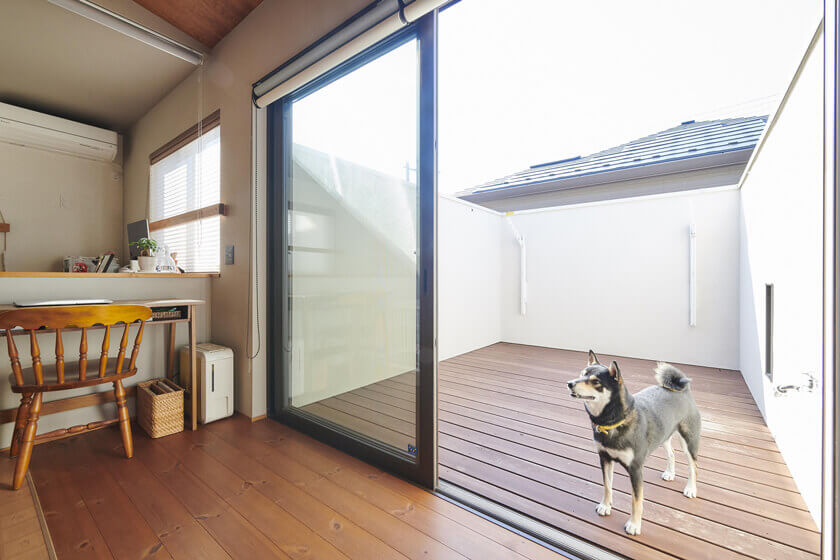 犬と暮らす家・猫と暮らす家注文住宅ミサワホーム