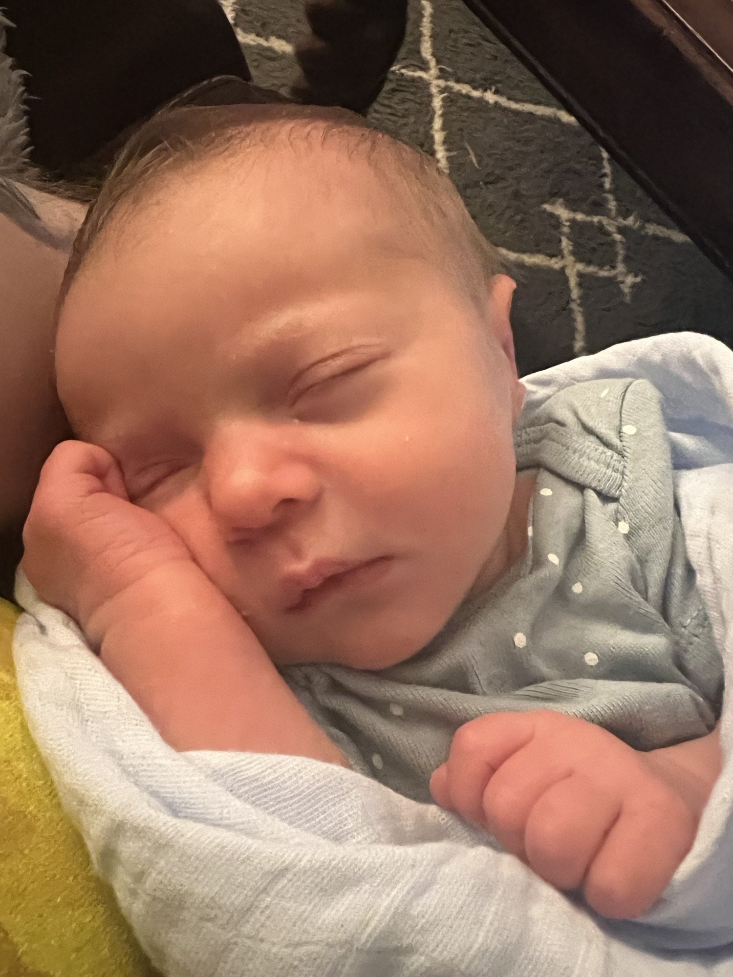 生まれたての赤ちゃんの写真素材398035- PIXTA