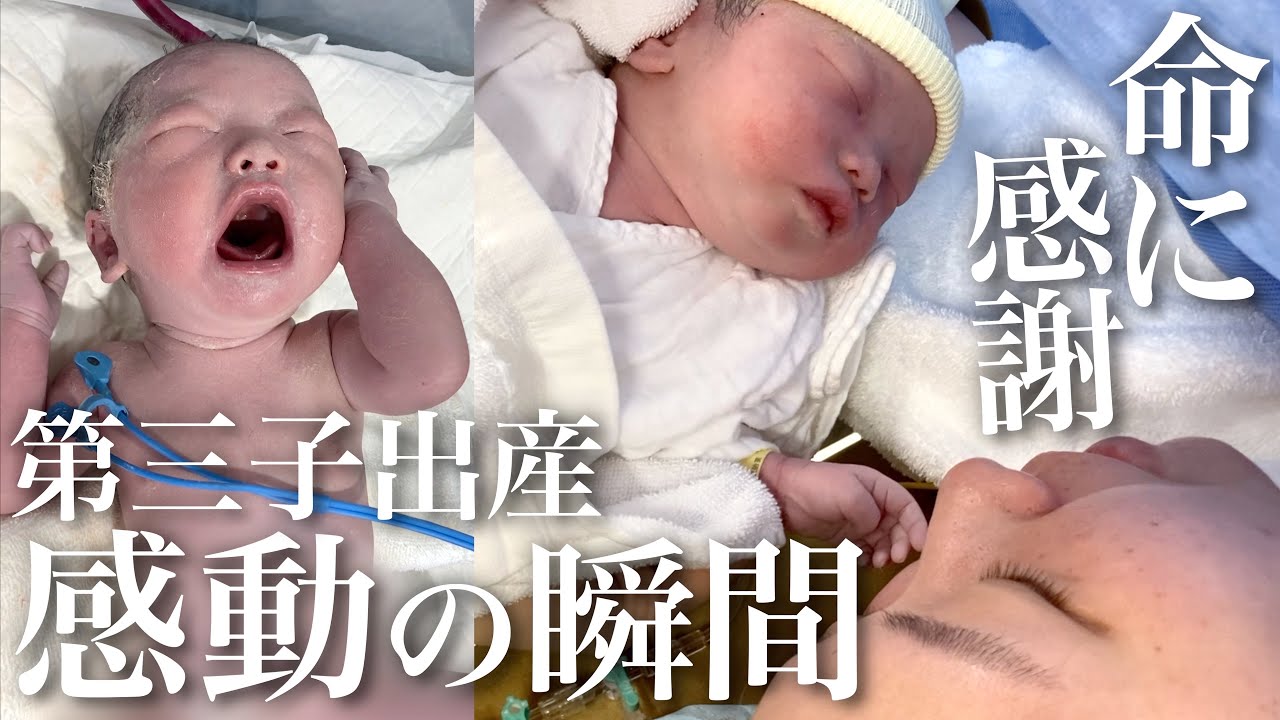 生まれたばかりの赤ちゃんの柔らかく繊細な足を優しくくすぐってマッサージし、優しい瞬間を楽しんでいます。」の動画素材 ロイヤリティフリー 3907532759Shutterstock