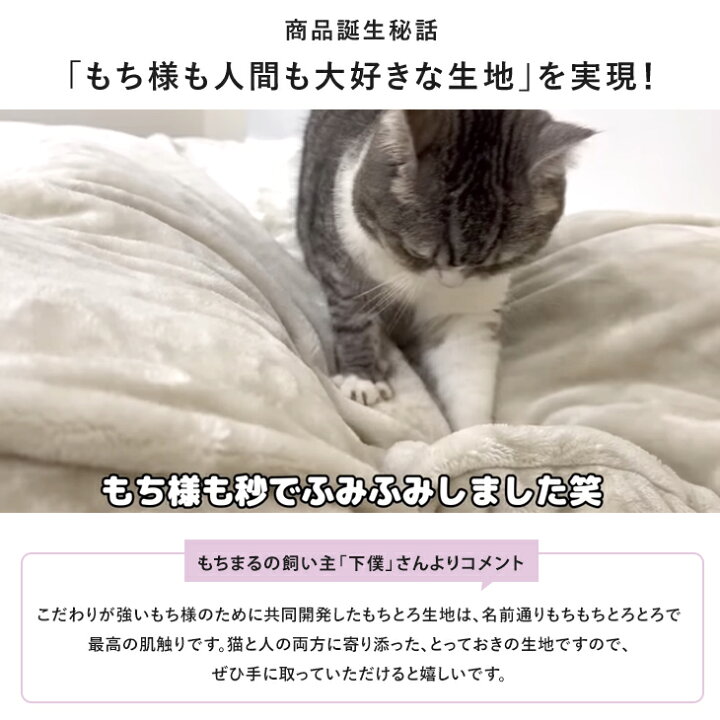 Amazon.co.jp: もちまる しまむらコラボ もちまる 肌掛け布団 ブルー : ホーム&キッチン