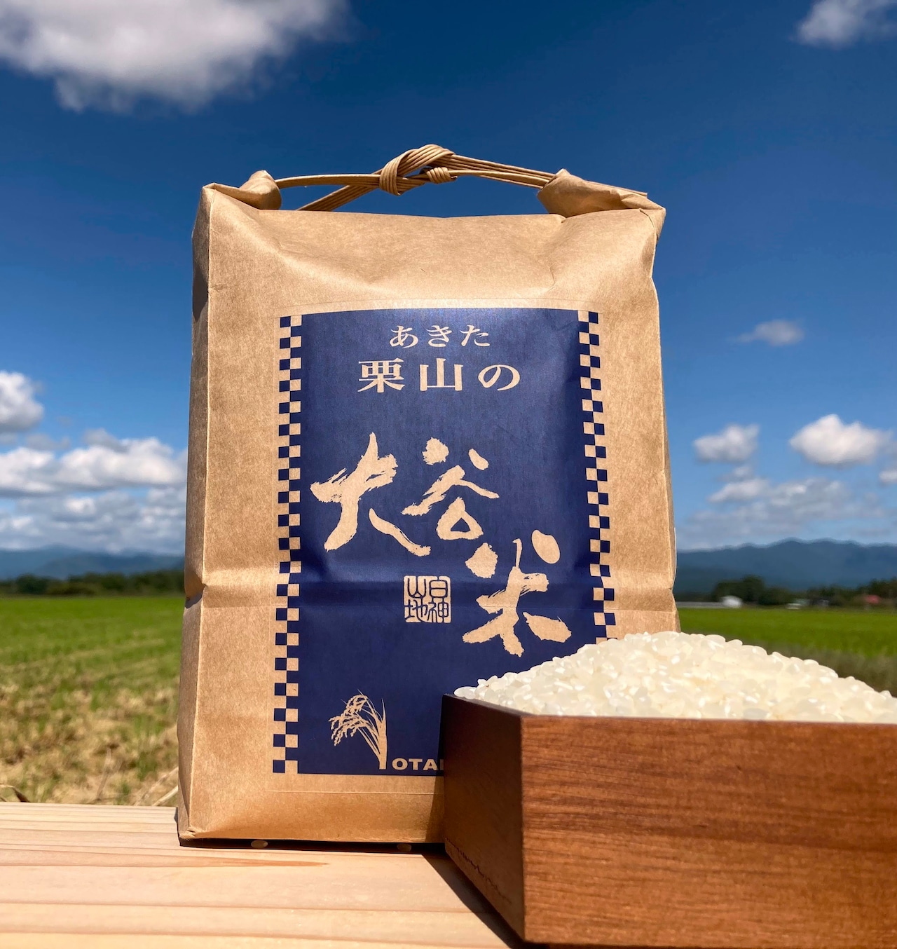 ハワイに店舗あるの？」大谷翔平＆真美子夫人 別荘着工式で持っていた「超人気お菓子の紙袋」にネット騒然女性自身