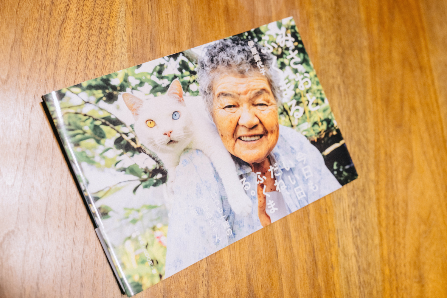 夏はそうめんおばあちゃんと猫田舎暮らし古民家