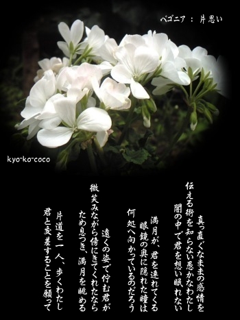 花言葉：恋する相手に贈りたい片思いを象徴する花言葉を持つ花々